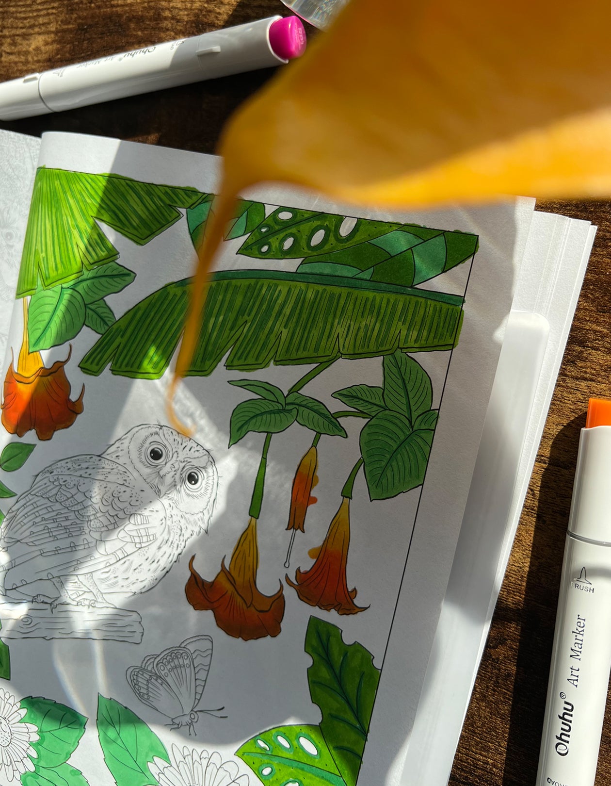 Whoo's Who in the Night Sky, An Owl Coloring Book