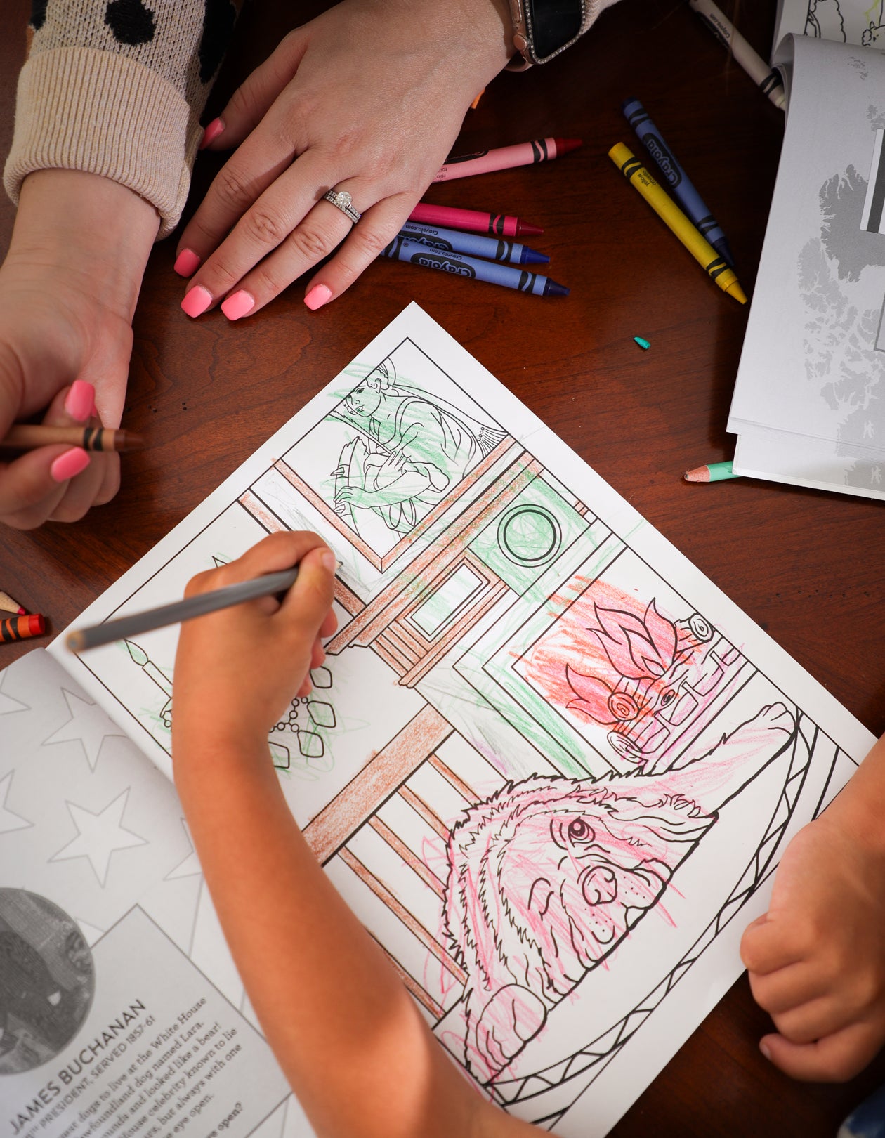 Educational Presidential Dogs of the White House coloring book for kids and adults.