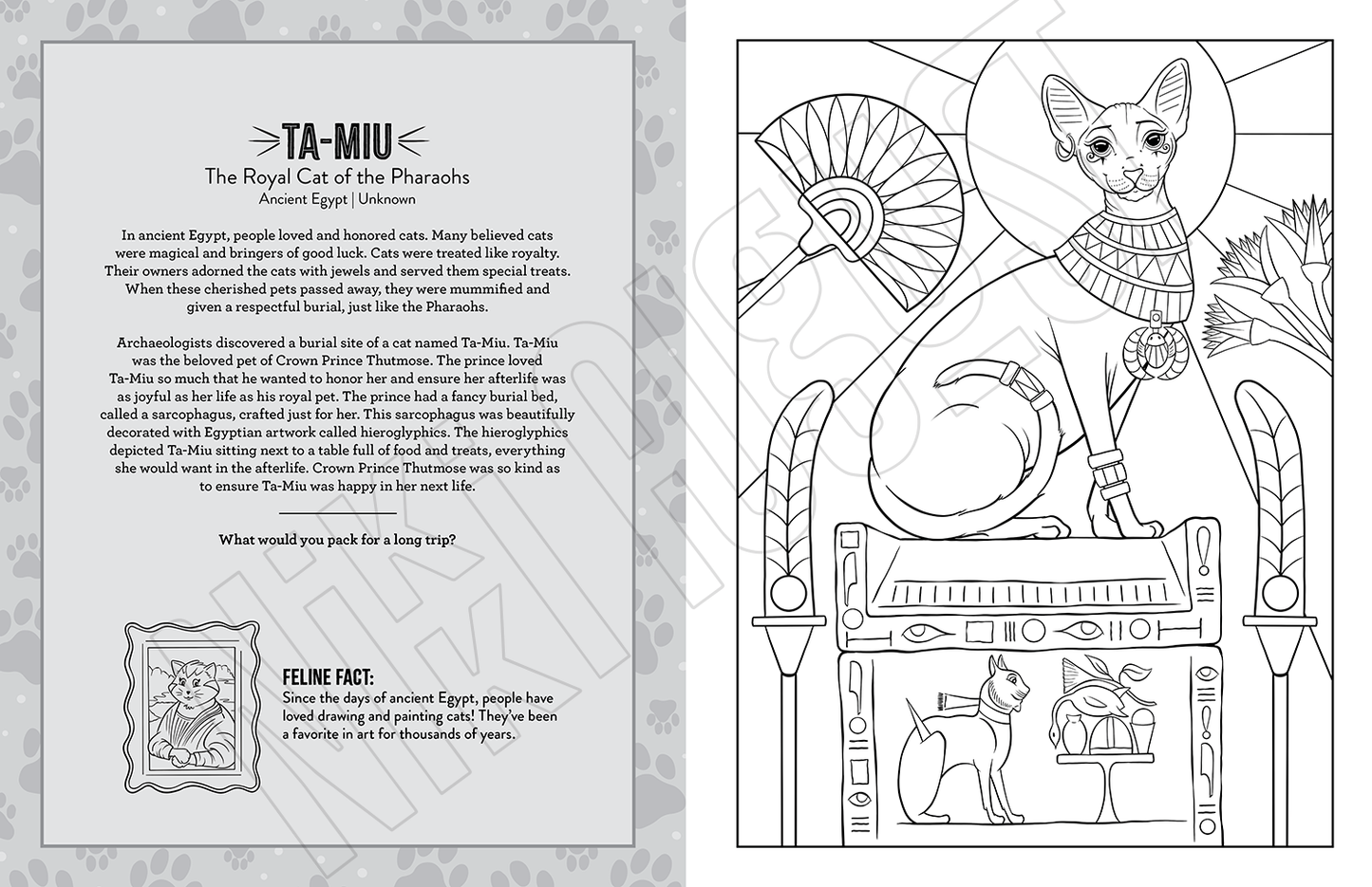 Educational Courageous Cats coloring book for kids and adults.