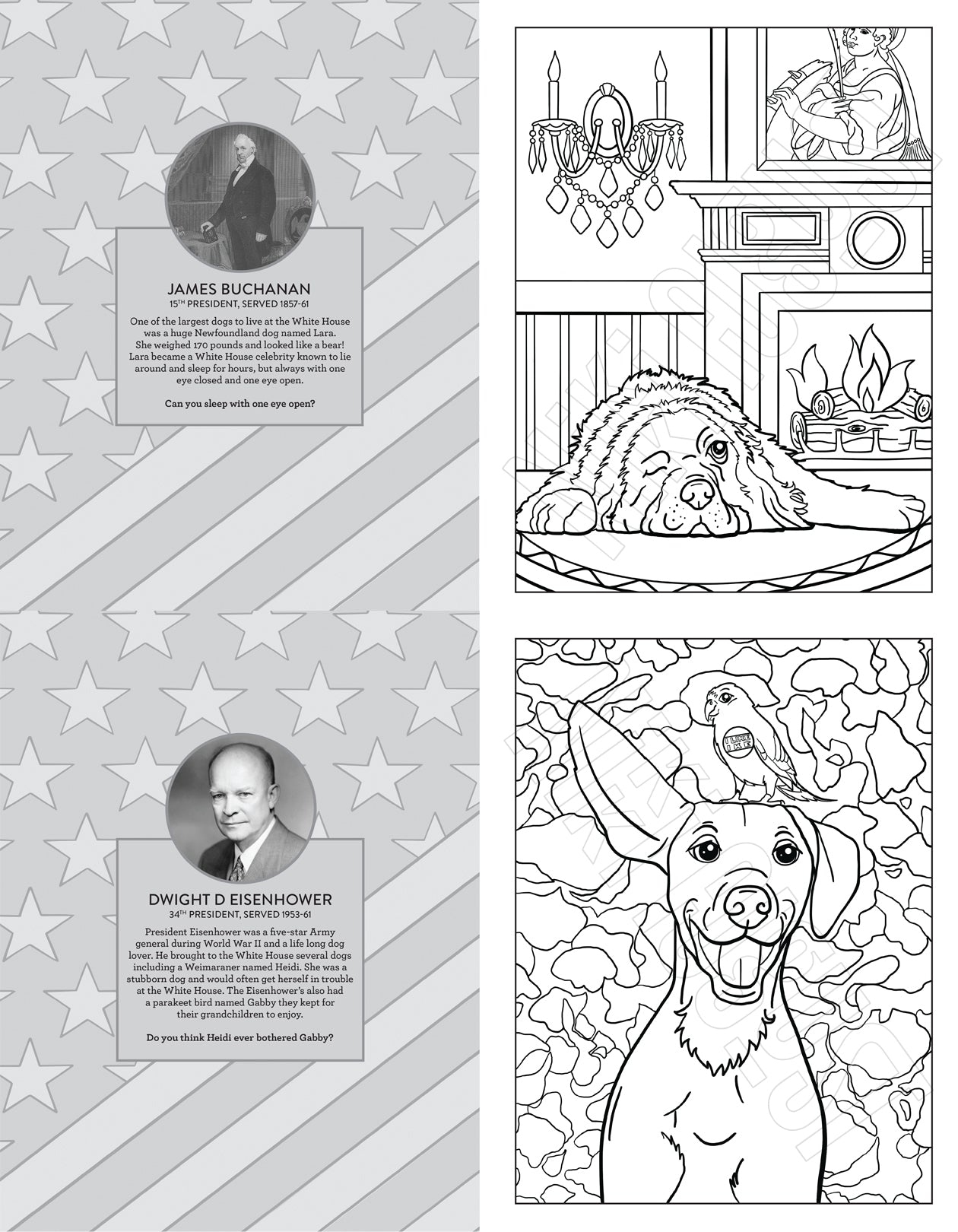 Presidential Dogs Educational Coloring Book