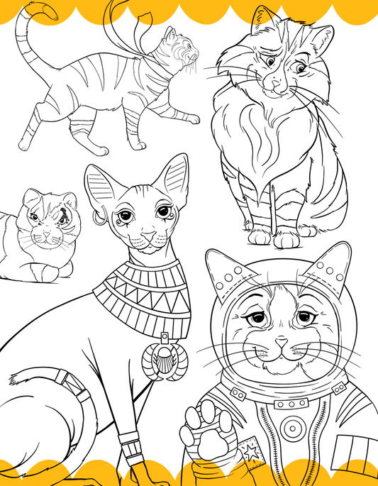 Pre-Order New Cat Heroes Coloring Book